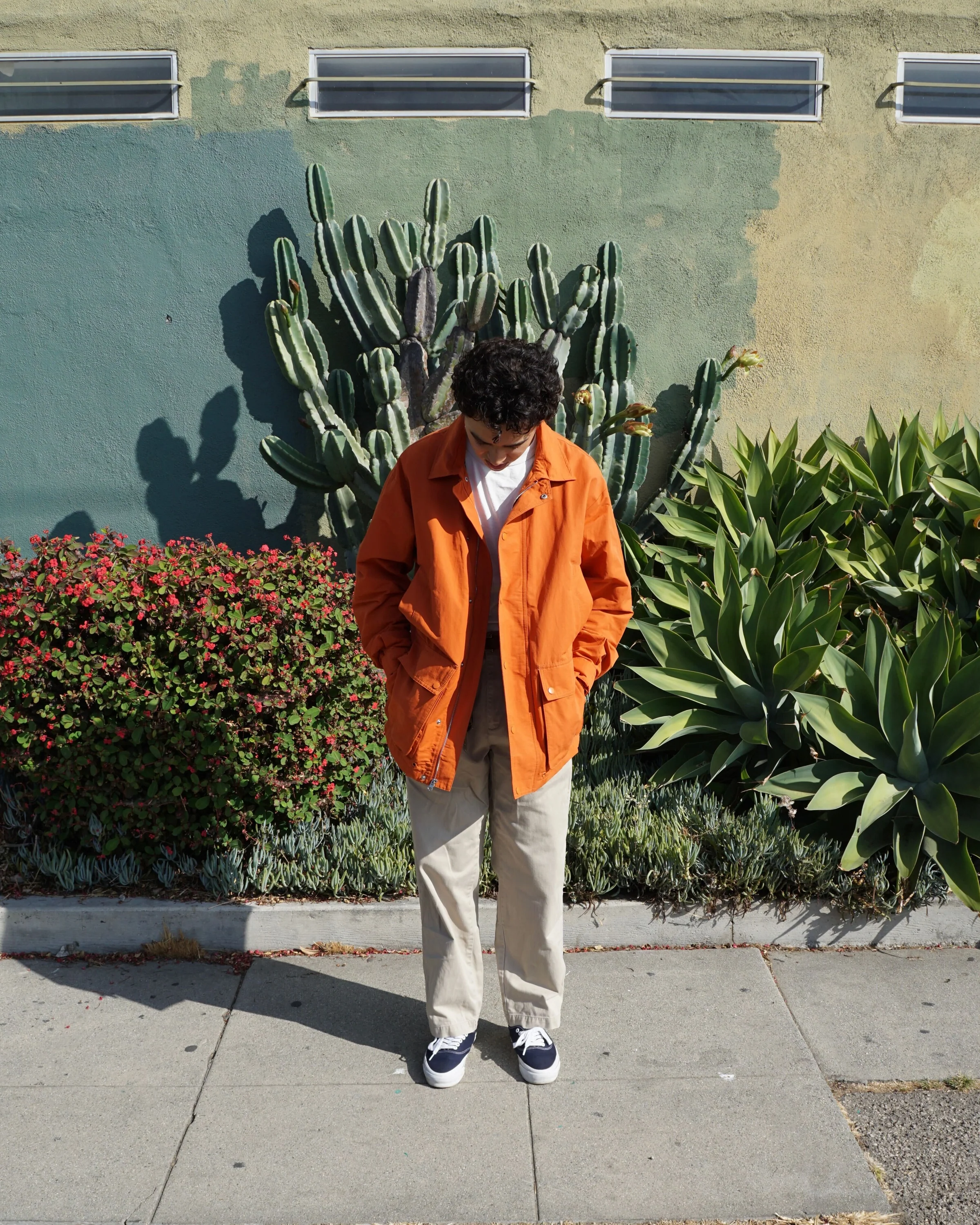 Curated Essentials From West Adams
